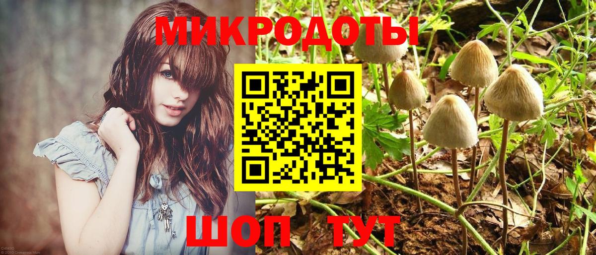 Псилоцибиновые грибы Psilocybine cubensis Лангепас