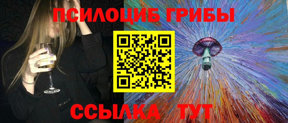 где можно купить наркотик  Вход с VPN  Лангепас  Галлюциногенные грибы Psilocybe 